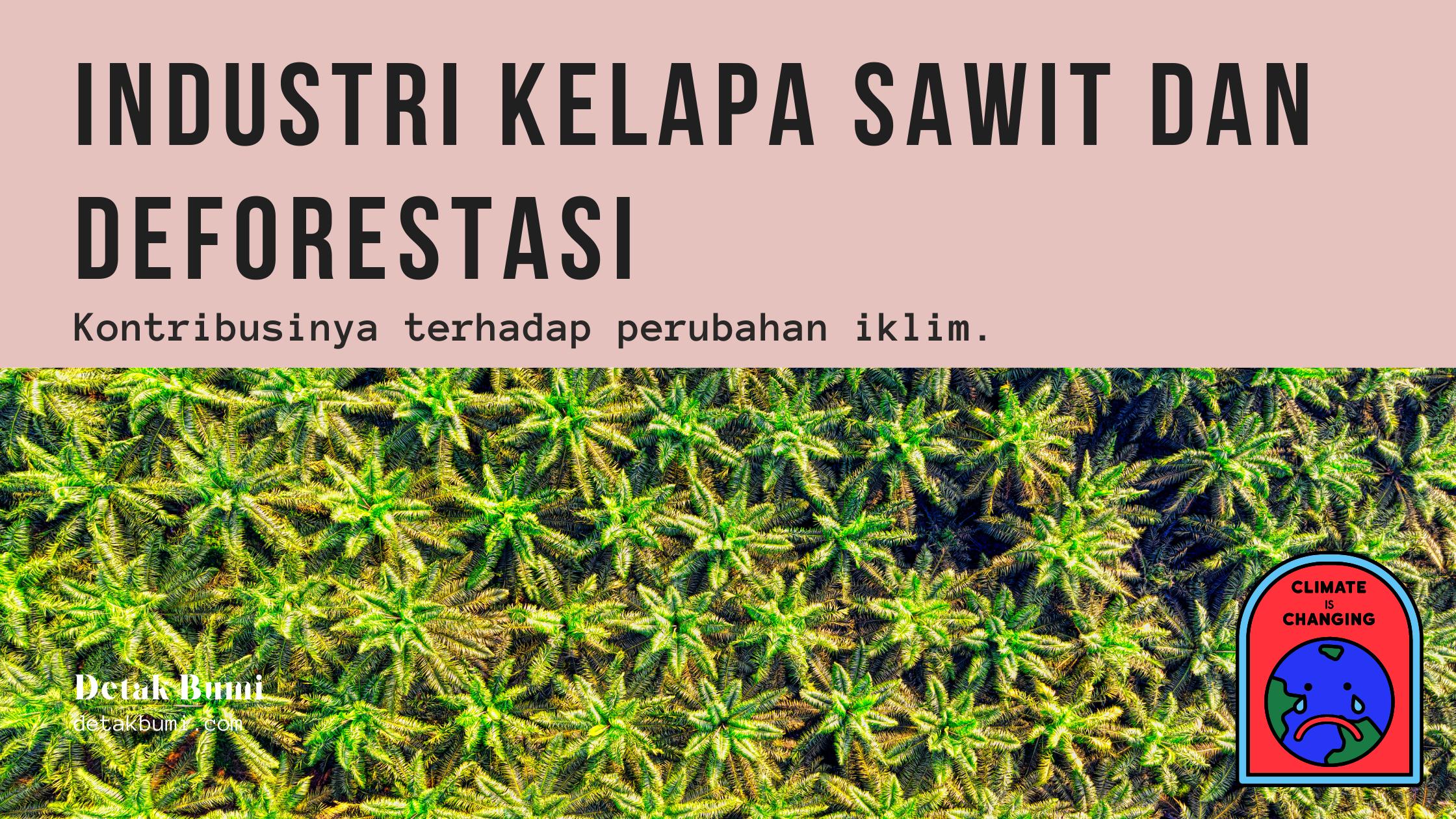 Produksi Minyak Kelapa Sawit dan Deforestasi: Kontribusinya terhadap Perubahan Iklim.