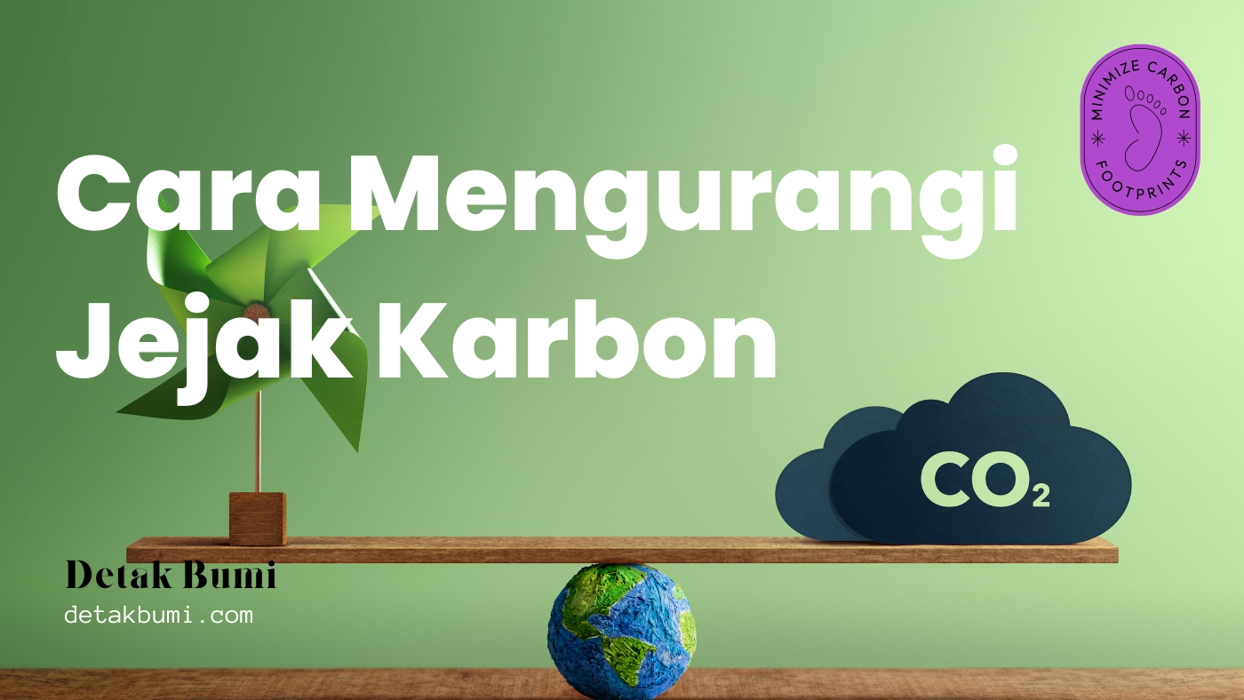 Cara Mengurangi Jejak Karbon Yang Mudah Dilakukan