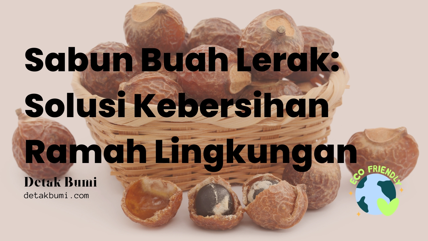 Sabun Buah Lerak: Solusi Ramah Lingkungan untuk Kebersihan Sejak Dulu Kala